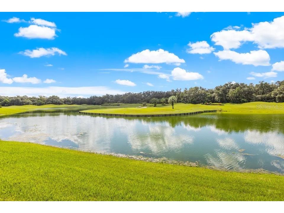 30324 Laurelwood Lane Wesley Chapel FL 33543 TB8521080 image20