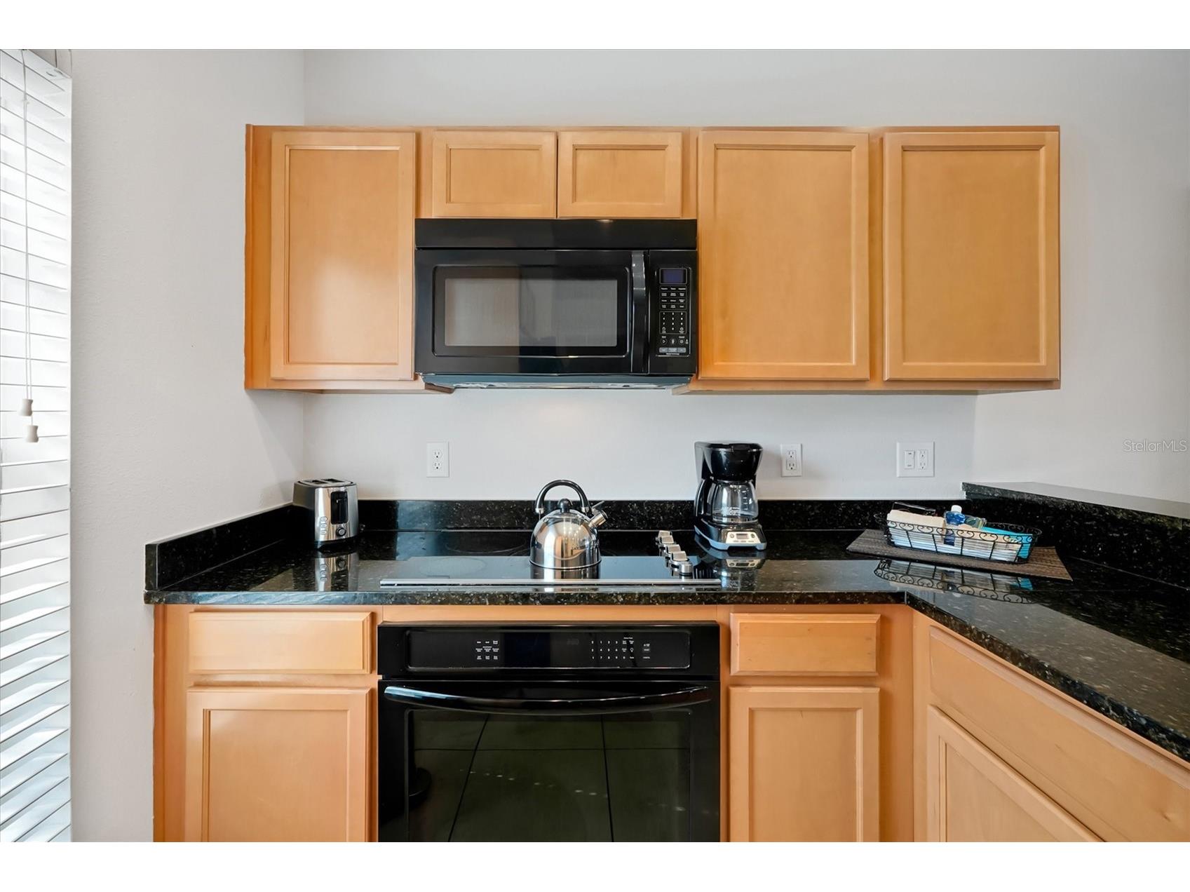 3033 Bird Of Paradise Lane Kissimmee FL 34747 O6393684 image10