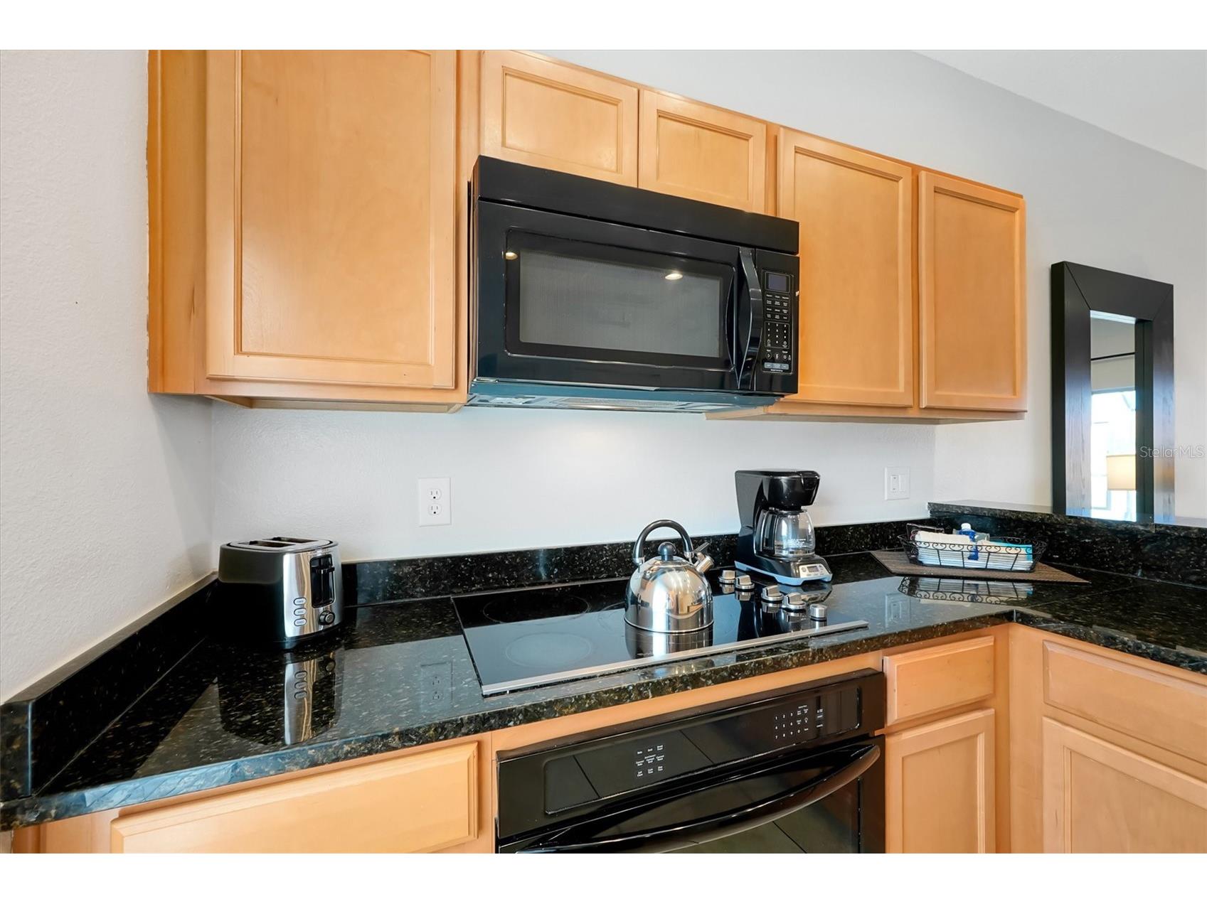 3033 Bird Of Paradise Lane Kissimmee FL 34747 O6393684 image11