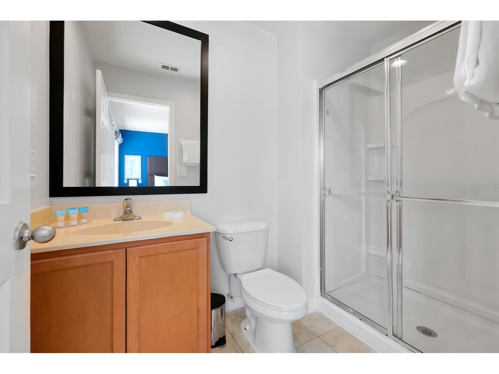 3033 Bird Of Paradise Lane Kissimmee FL 34747 O6393684 image27