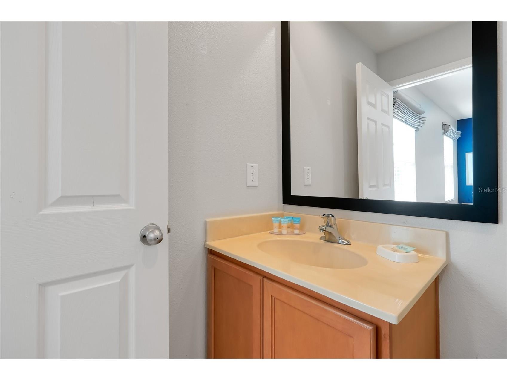 3033 Bird Of Paradise Lane Kissimmee FL 34747 O6393684 image28