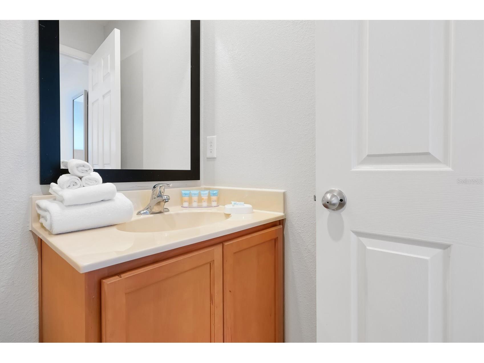 3033 Bird Of Paradise Lane Kissimmee FL 34747 O6393684 image32