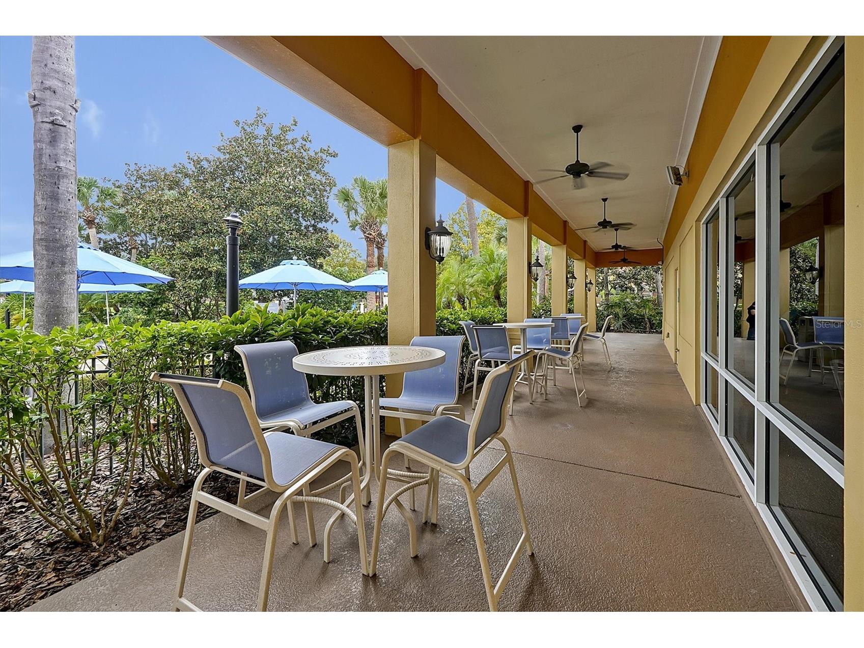 3033 Bird Of Paradise Lane Kissimmee FL 34747 O6393684 image56