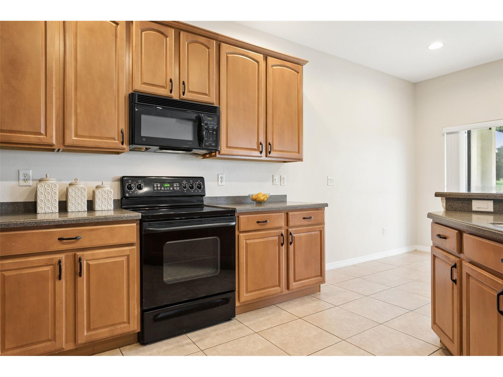 3033 Gem Luster Court Valrico FL 33594 TB8495699 image13