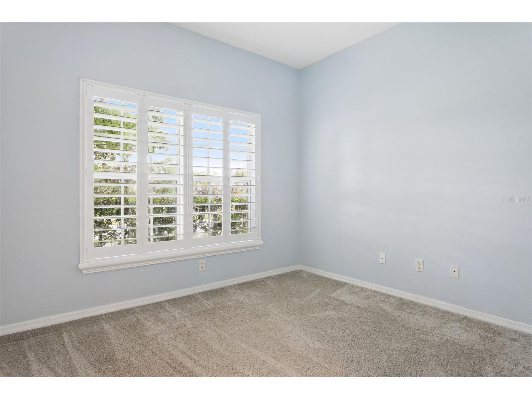 3033 Gem Luster Court Valrico FL 33594 TB8495699 image23