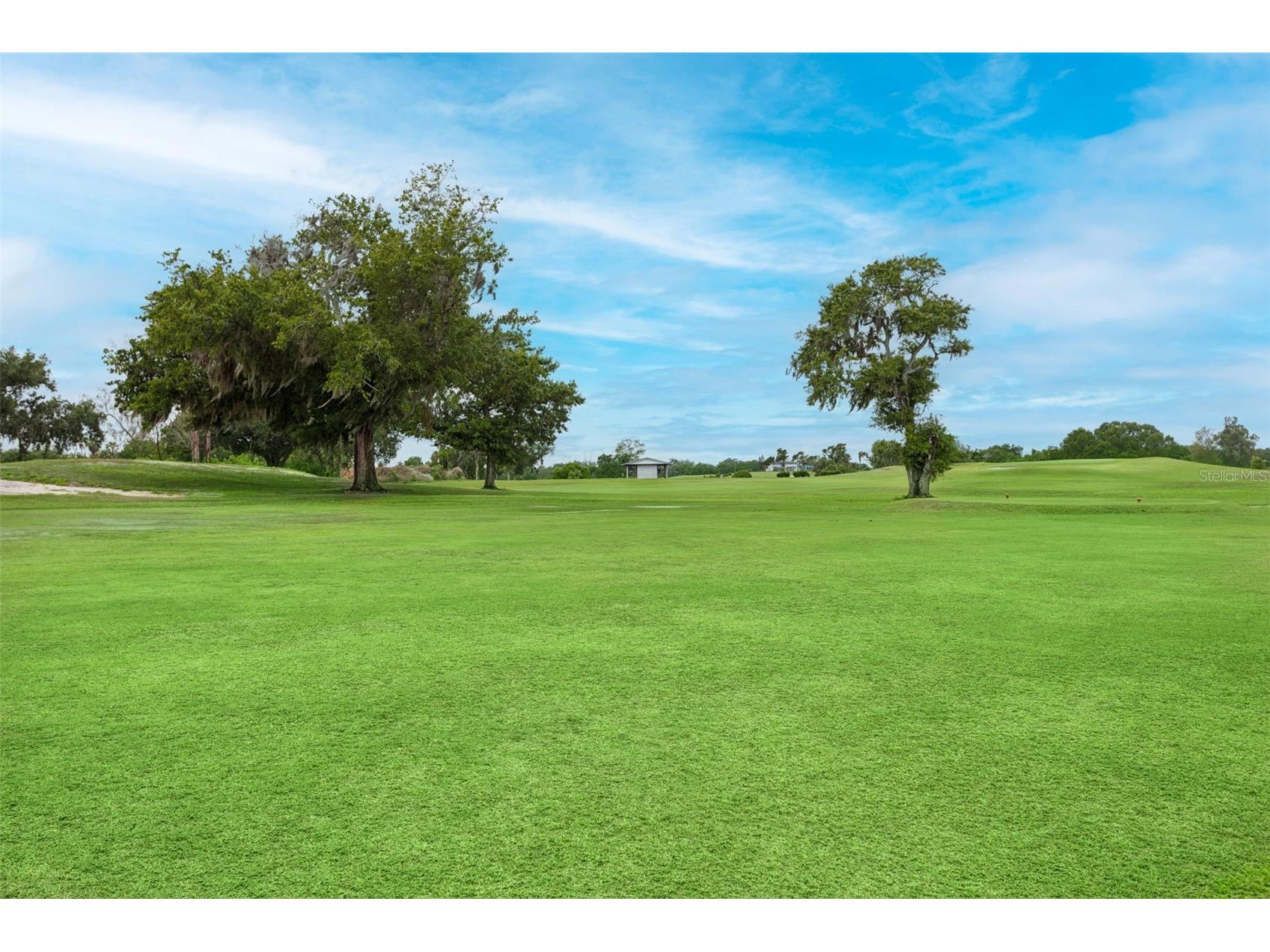 3033 Gem Luster Court Valrico FL 33594 TB8495699 image31