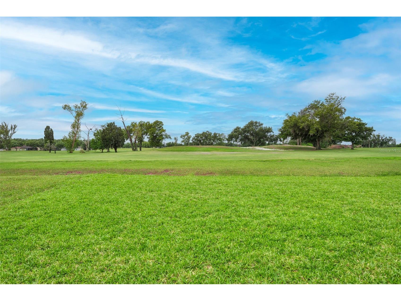3033 Gem Luster Court Valrico FL 33594 TB8495699 image32