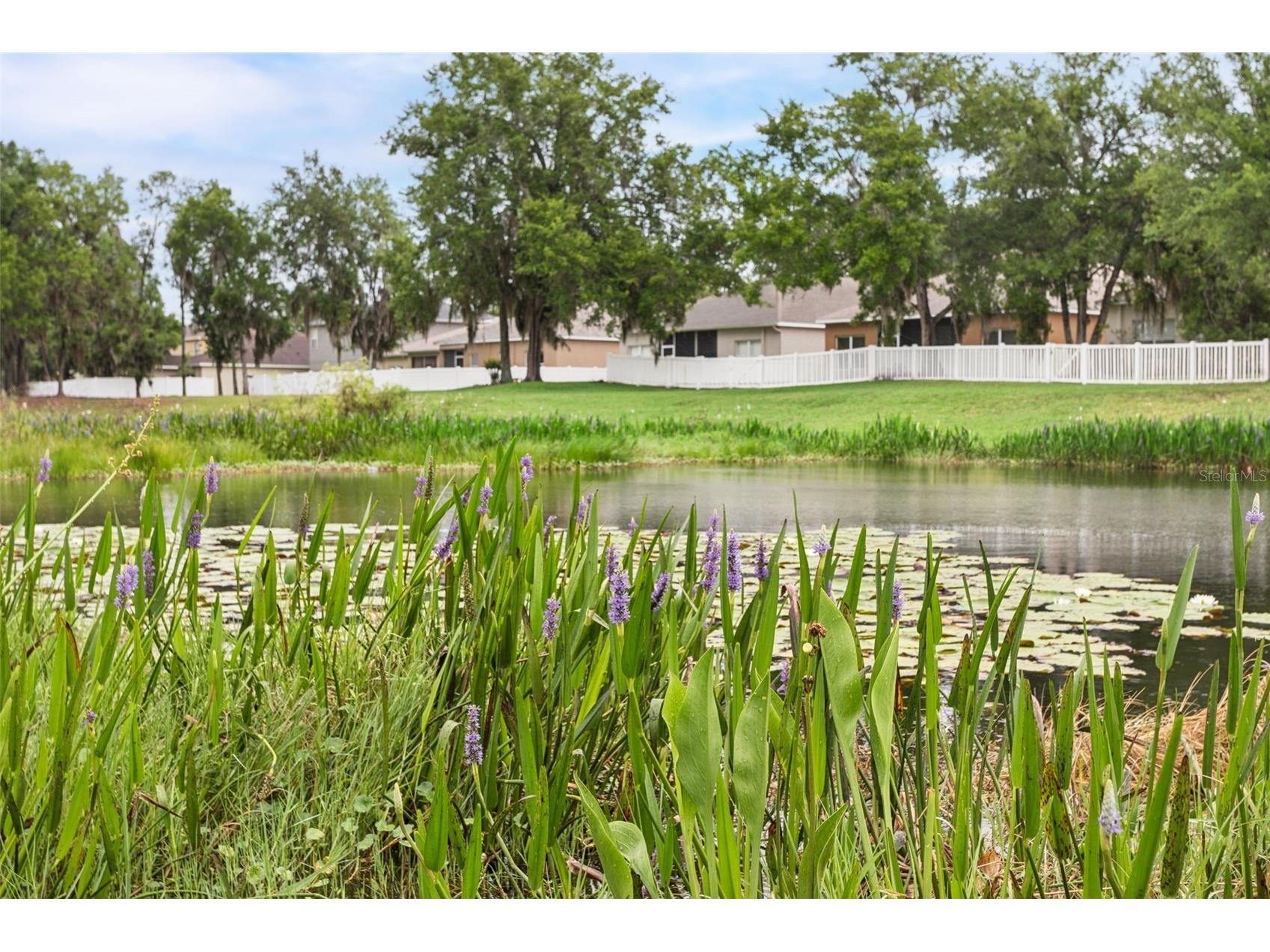 3033 Gem Luster Court Valrico FL 33594 TB8495699 image39