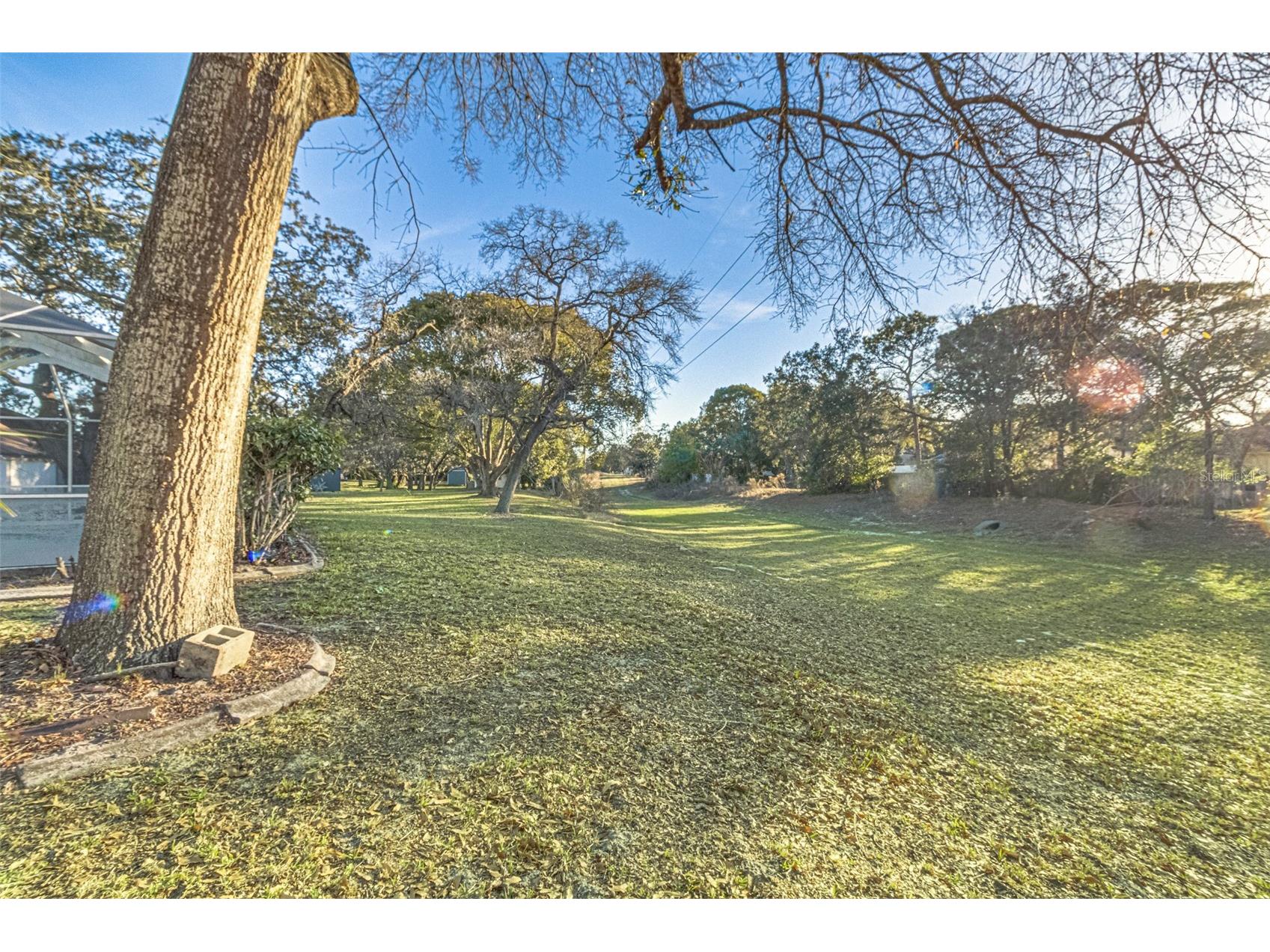 3033 Tiffany Court Spring Hill FL 34608 TB8480691 image36