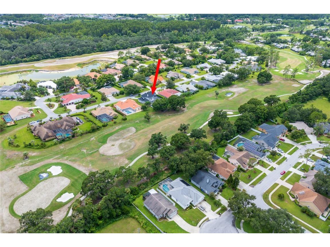 30331 Fairway Drive Wesley Chapel FL 33543 TB8421246 image67