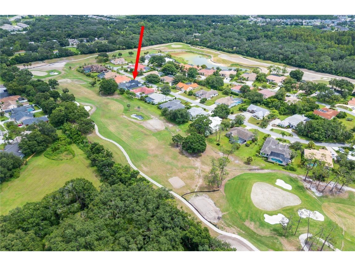 30331 Fairway Drive Wesley Chapel FL 33543 TB8421246 image68