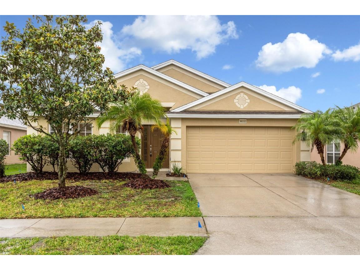 30332 Stapleton Street Wesley Chapel FL 33545 T3446718 image1