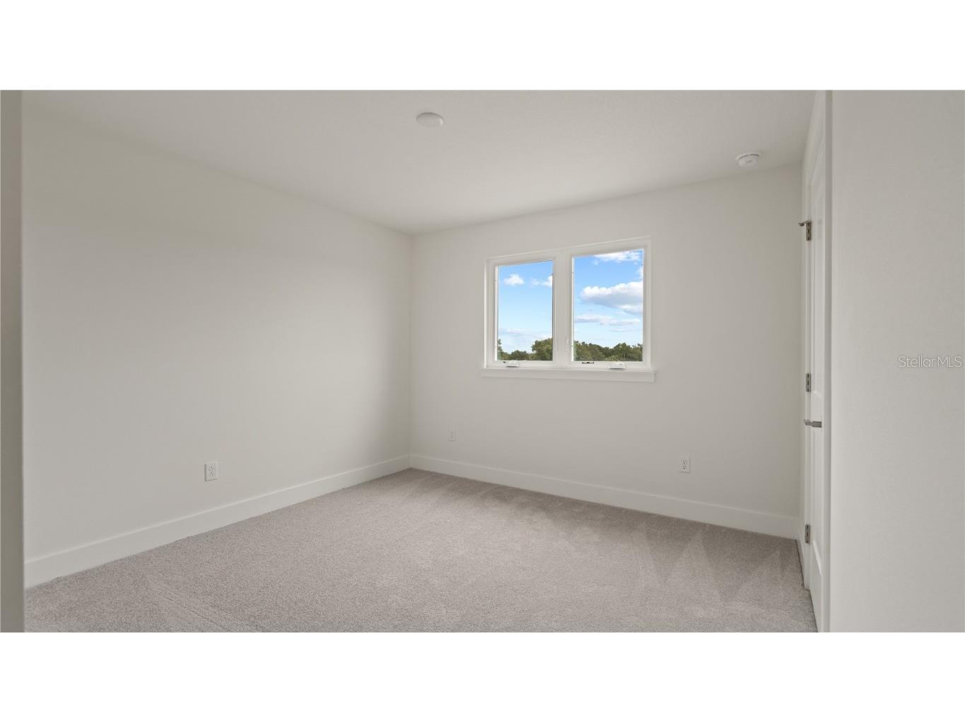 30334 Emerald Forest Drive Mount Dora FL 32757 O6303303 image28