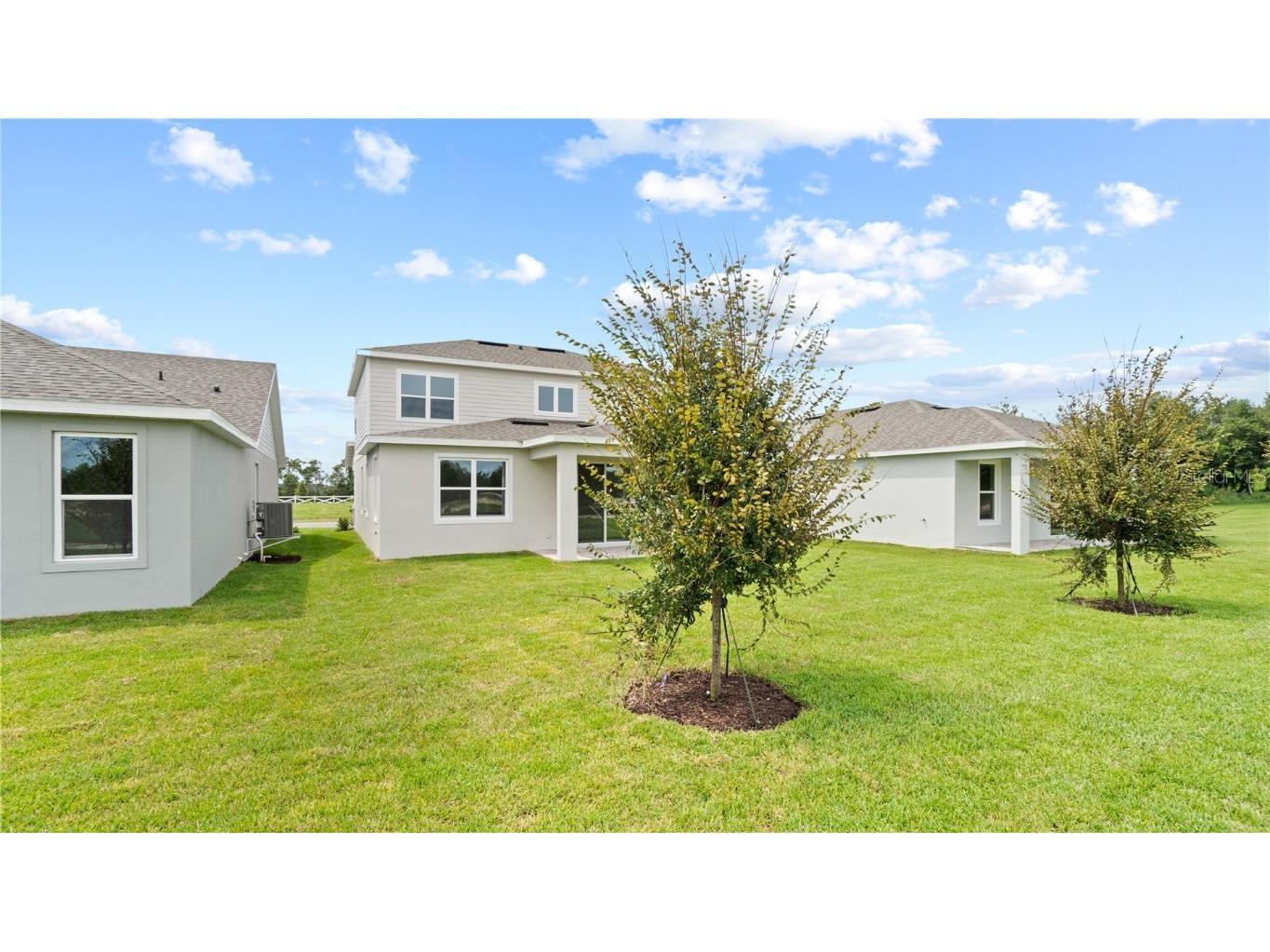 30334 Emerald Forest Drive Mount Dora FL 32757 O6303303 image48