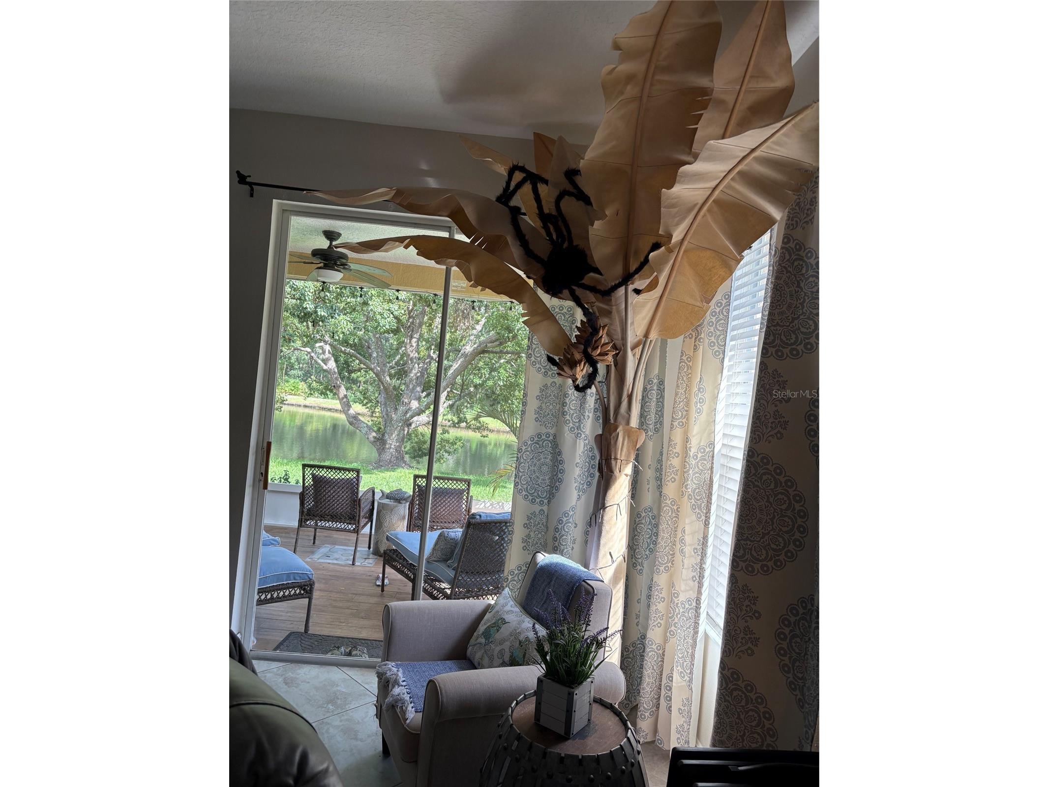30335 Lettingwell Circle Wesley Chapel FL 33543 TB8520592 image11