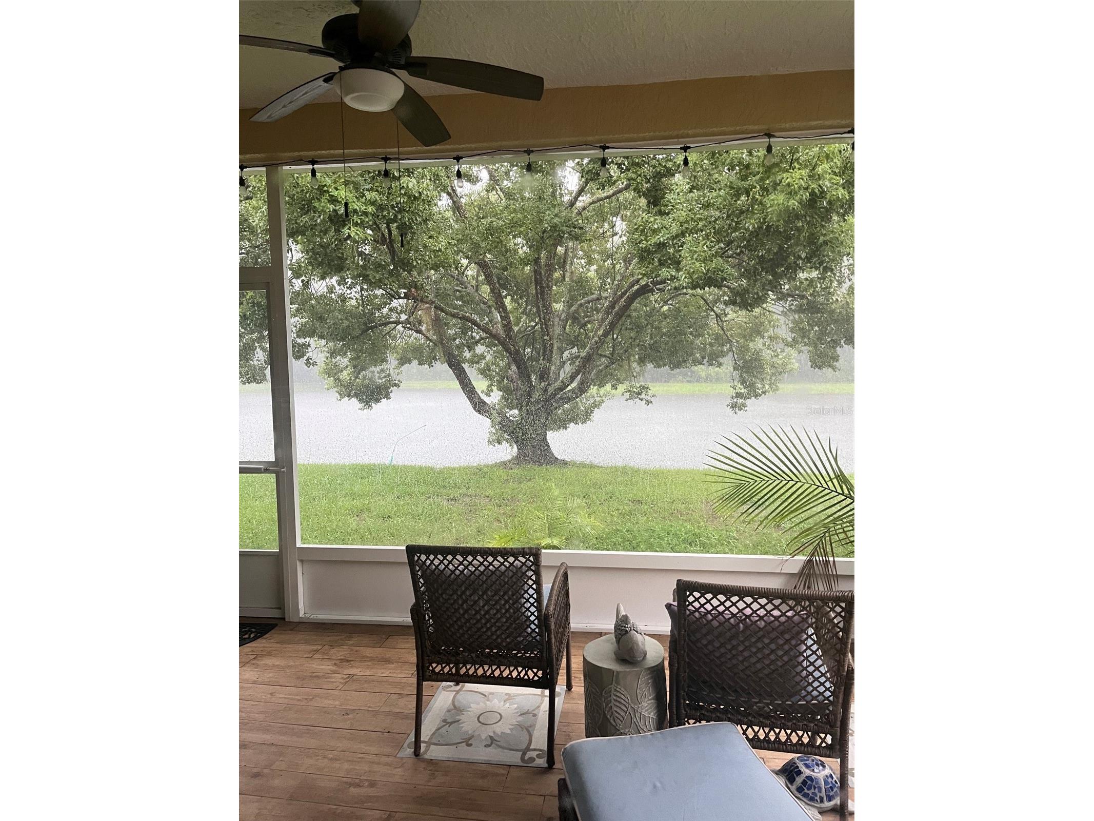 30335 Lettingwell Circle Wesley Chapel FL 33543 TB8520592 image2