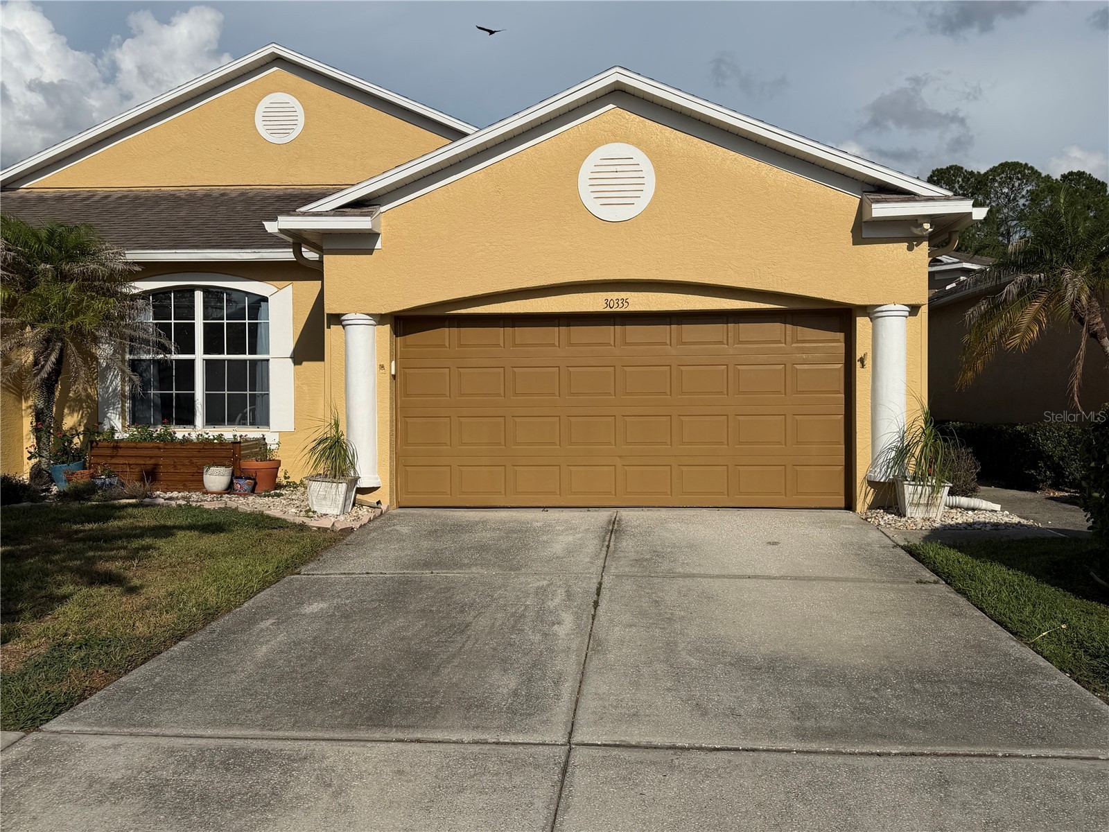30335 Lettingwell Circle Wesley Chapel FL 33543 TB8520592 image38