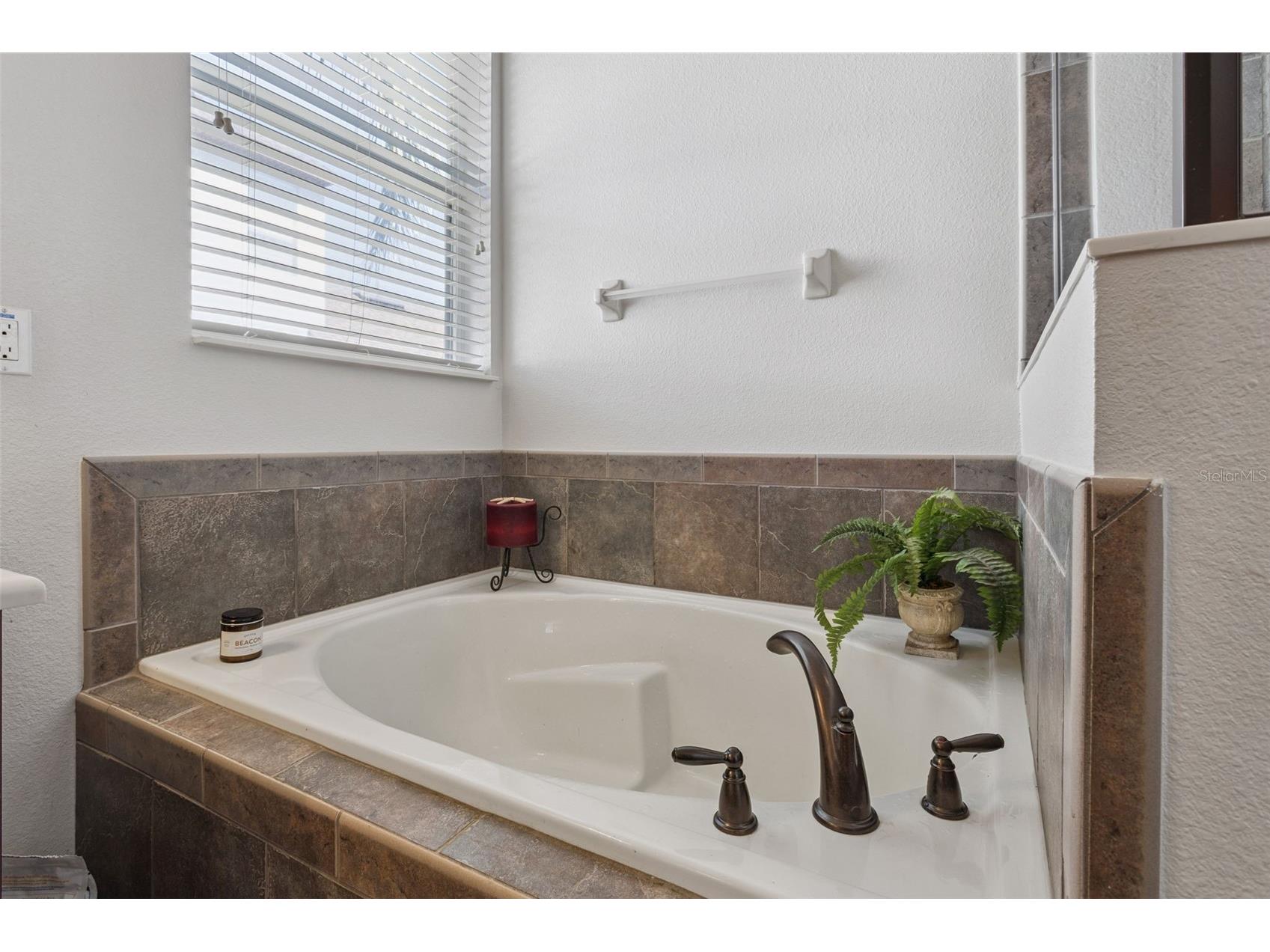 30337 Gidran Terrace Mount Dora FL 32757 G5107968 image37