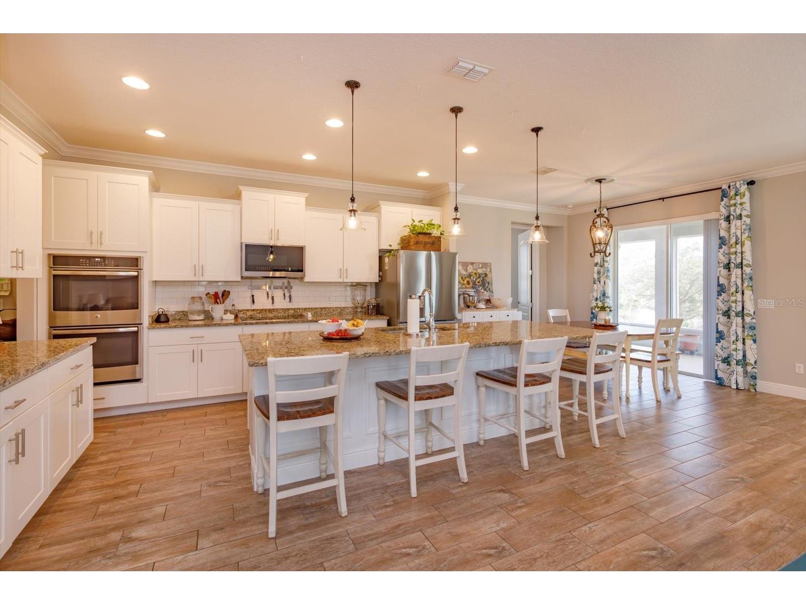 30339 Plymouth Creek Circle Sorrento FL 32776 O6385729 image12