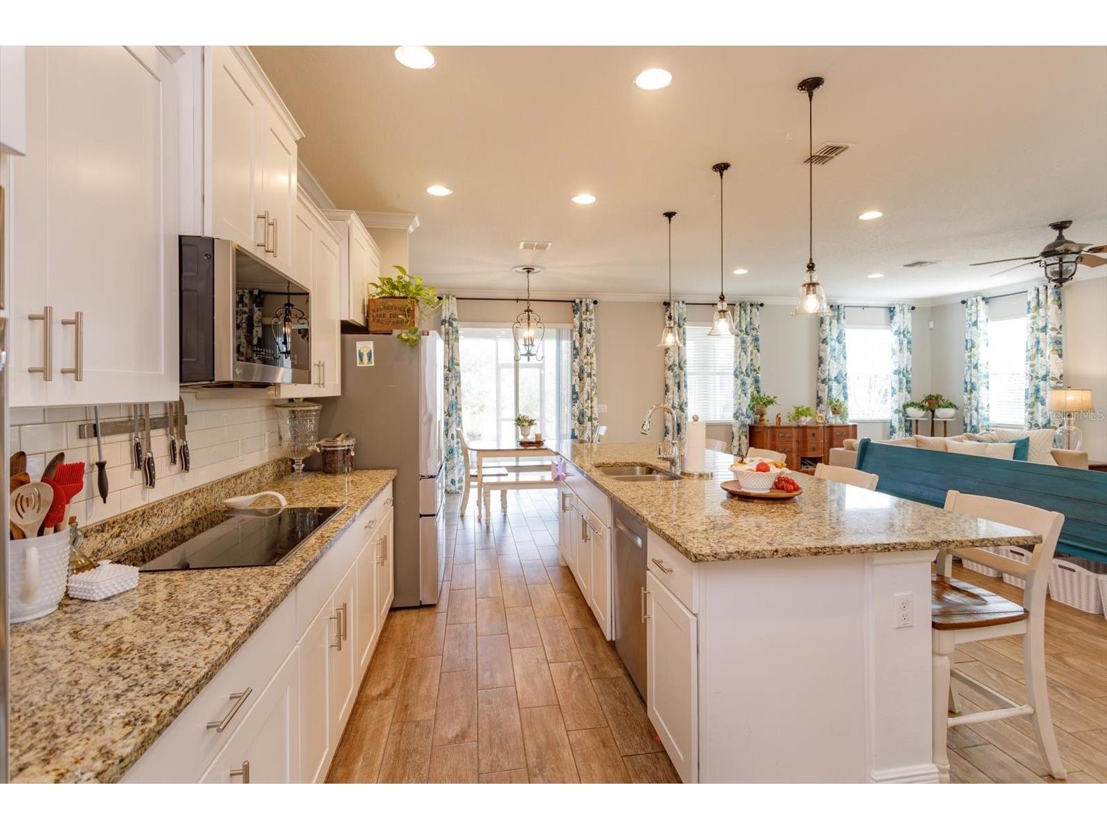 30339 Plymouth Creek Circle Sorrento FL 32776 O6385729 image14