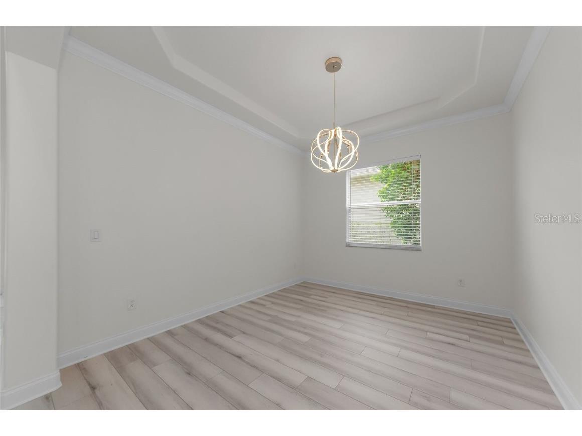 3033A Stonegate Falls Drive Land O Lakes FL 34638 R4910033 image16