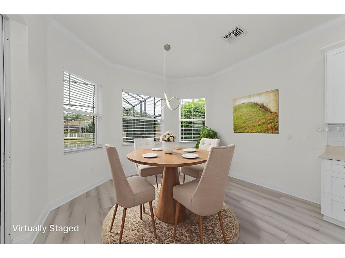 3033A Stonegate Falls Drive Land O Lakes FL 34638 R4910033 image17