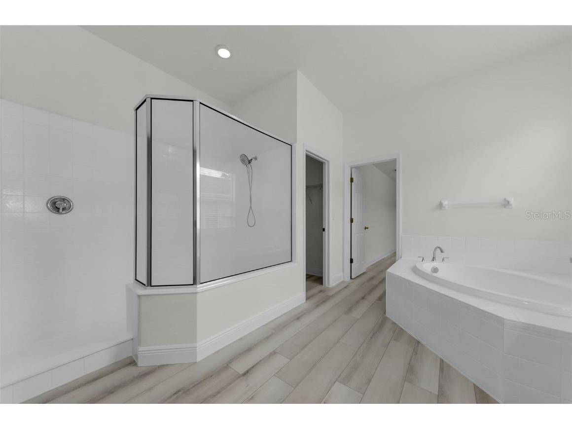 3033A Stonegate Falls Drive Land O Lakes FL 34638 R4910033 image24