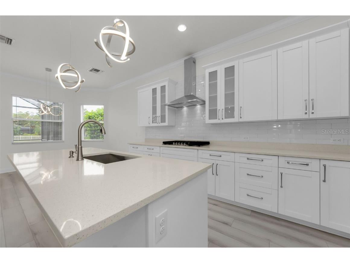 3033A Stonegate Falls Drive Land O Lakes FL 34638 R4910033 image44