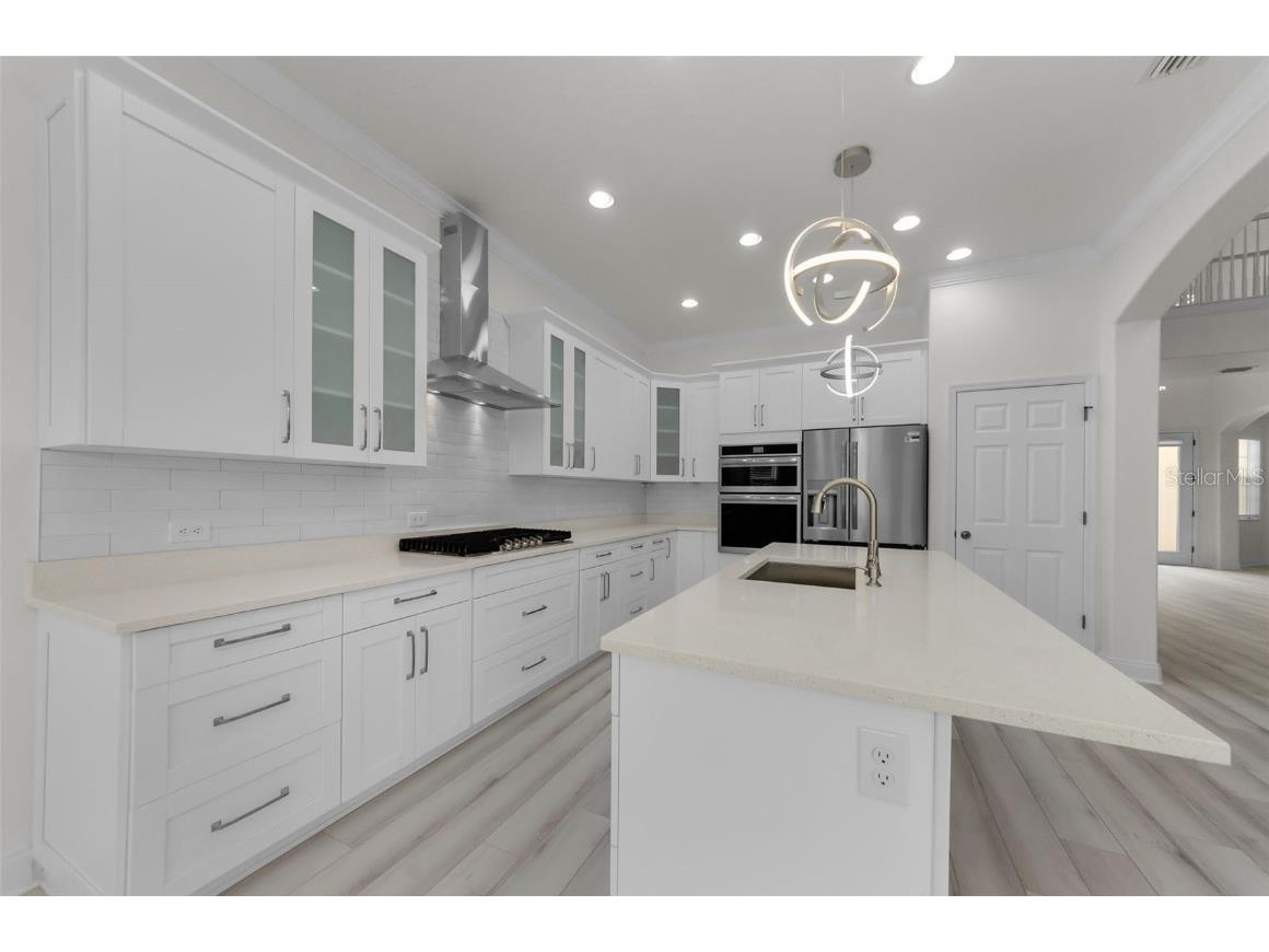 3033A Stonegate Falls Drive Land O Lakes FL 34638 R4910033 image45