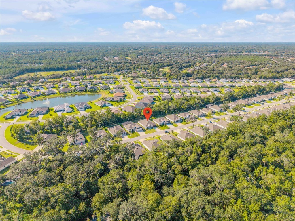 3034 Adrian Drive Ormond Beach FL 32174 O6361712 image28