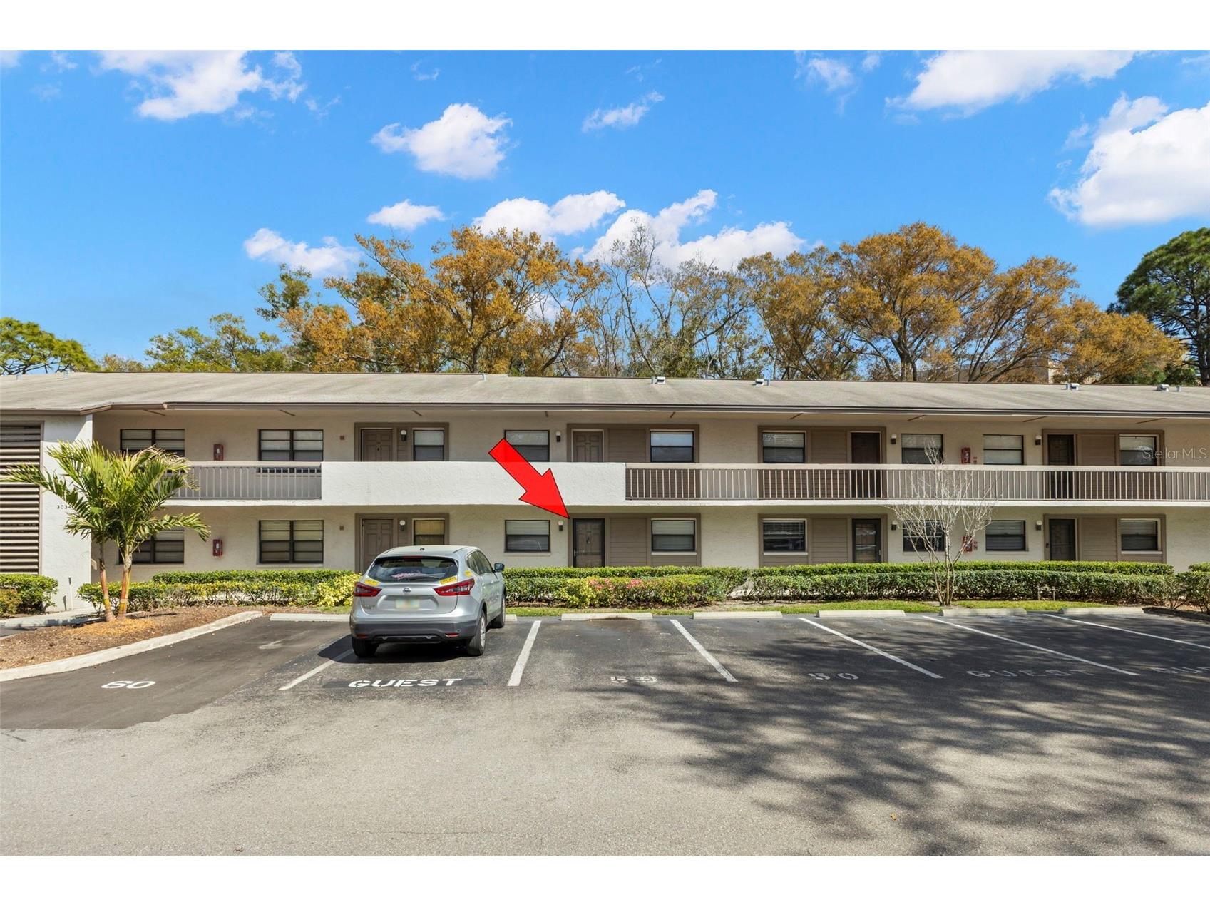 3034 Eastland Boulevard #D104 Clearwater FL 33761 TB8482206 image1