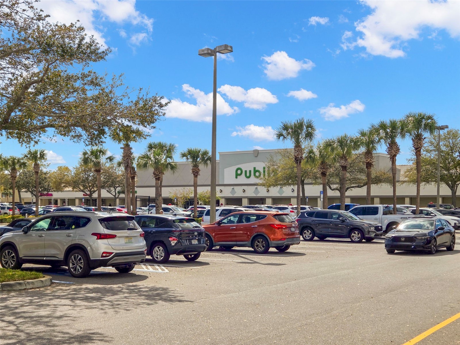 3034 Eastland Boulevard #D104 Clearwater FL 33761 TB8482206 image35