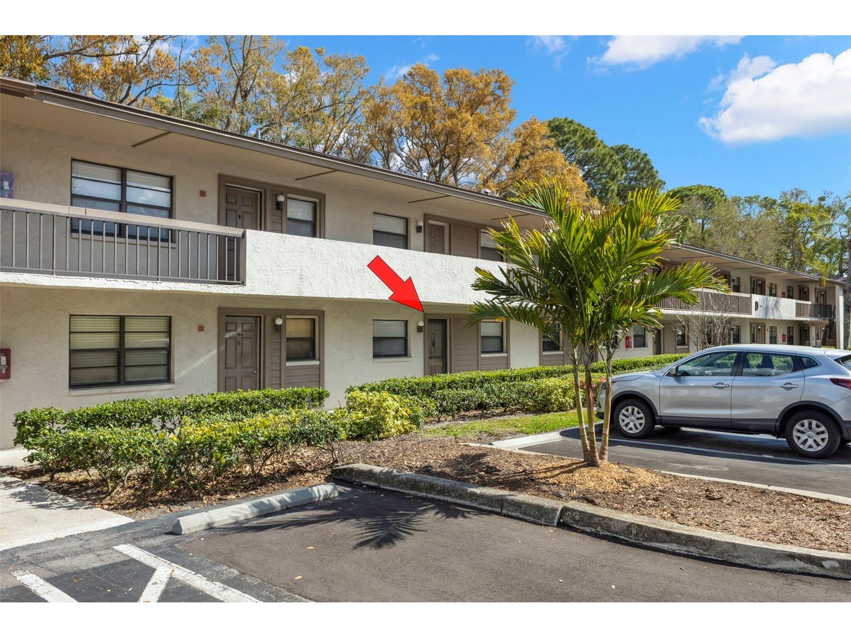 3034 Eastland Boulevard #D104 Clearwater FL 33761 TB8482206 image39