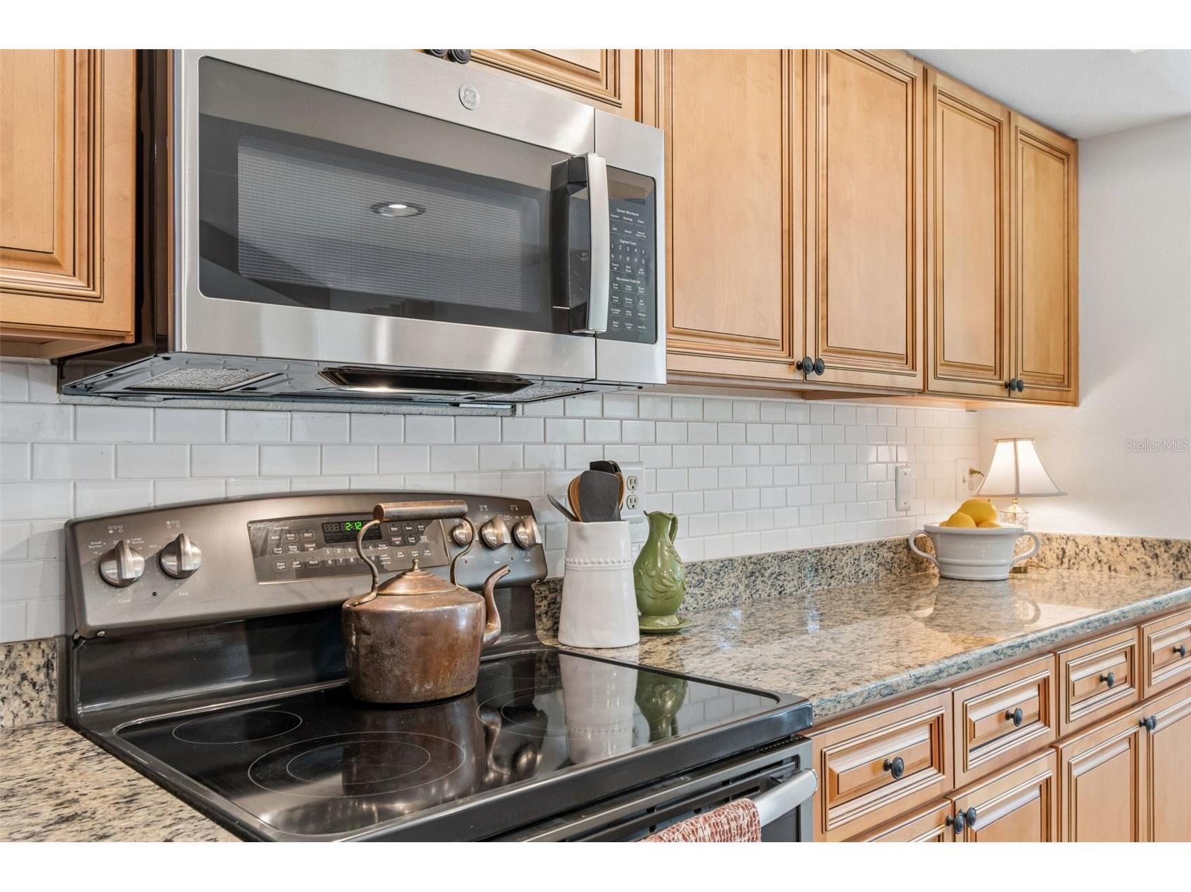 3034 Enisglen Drive Palm Harbor FL 34683 TB8513383 image17