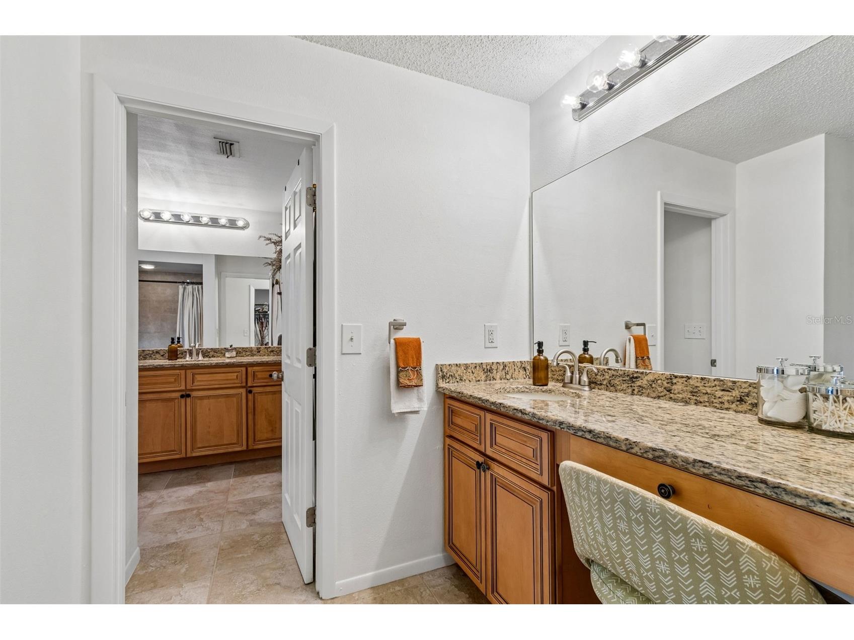 3034 Enisglen Drive Palm Harbor FL 34683 TB8513383 image27