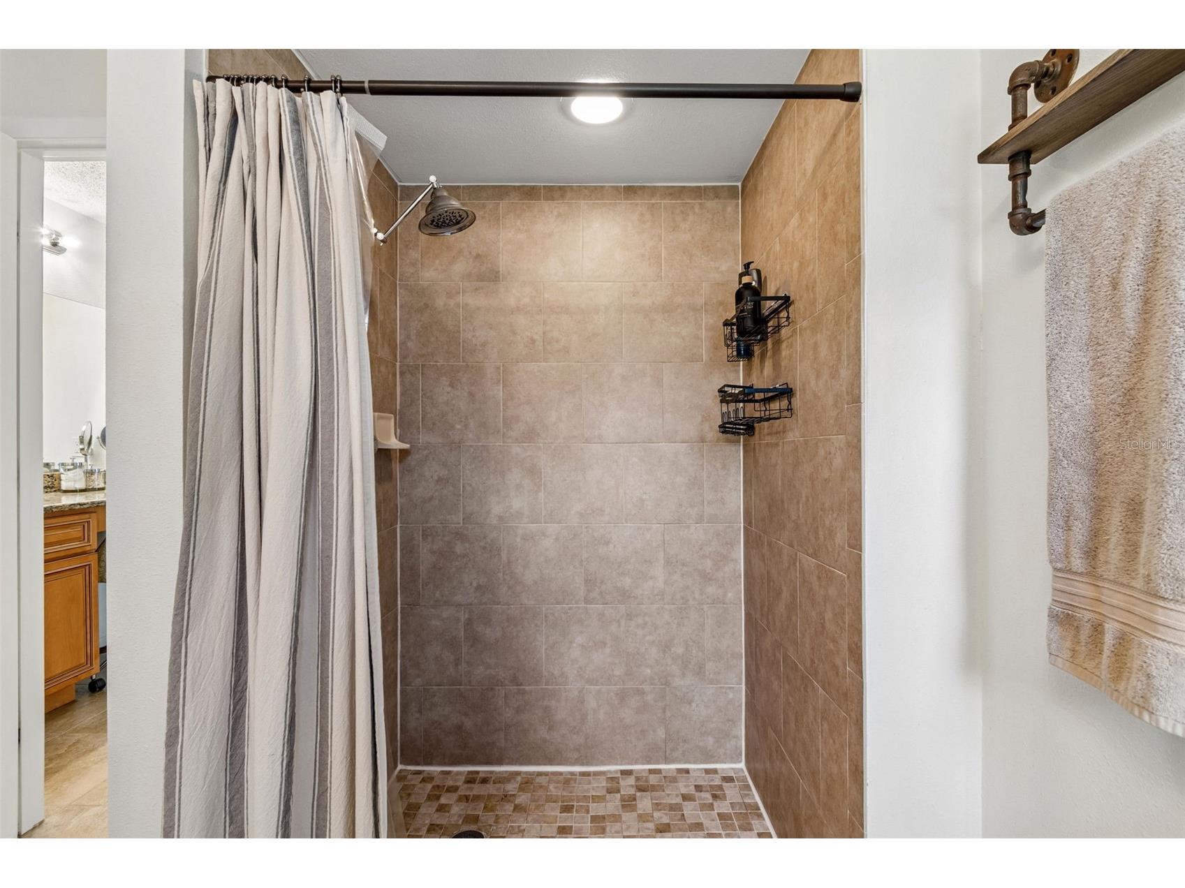 3034 Enisglen Drive Palm Harbor FL 34683 TB8513383 image30