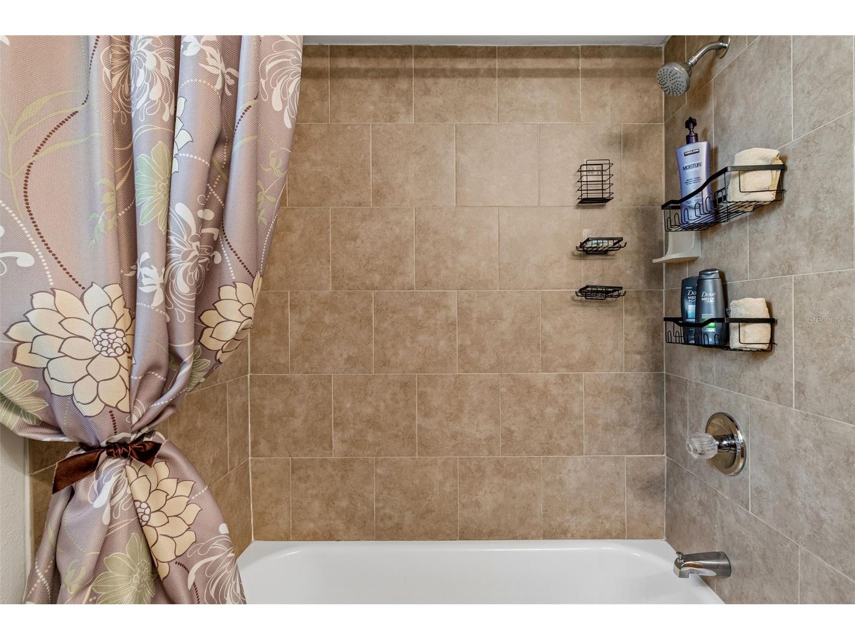 3034 Enisglen Drive Palm Harbor FL 34683 TB8513383 image34