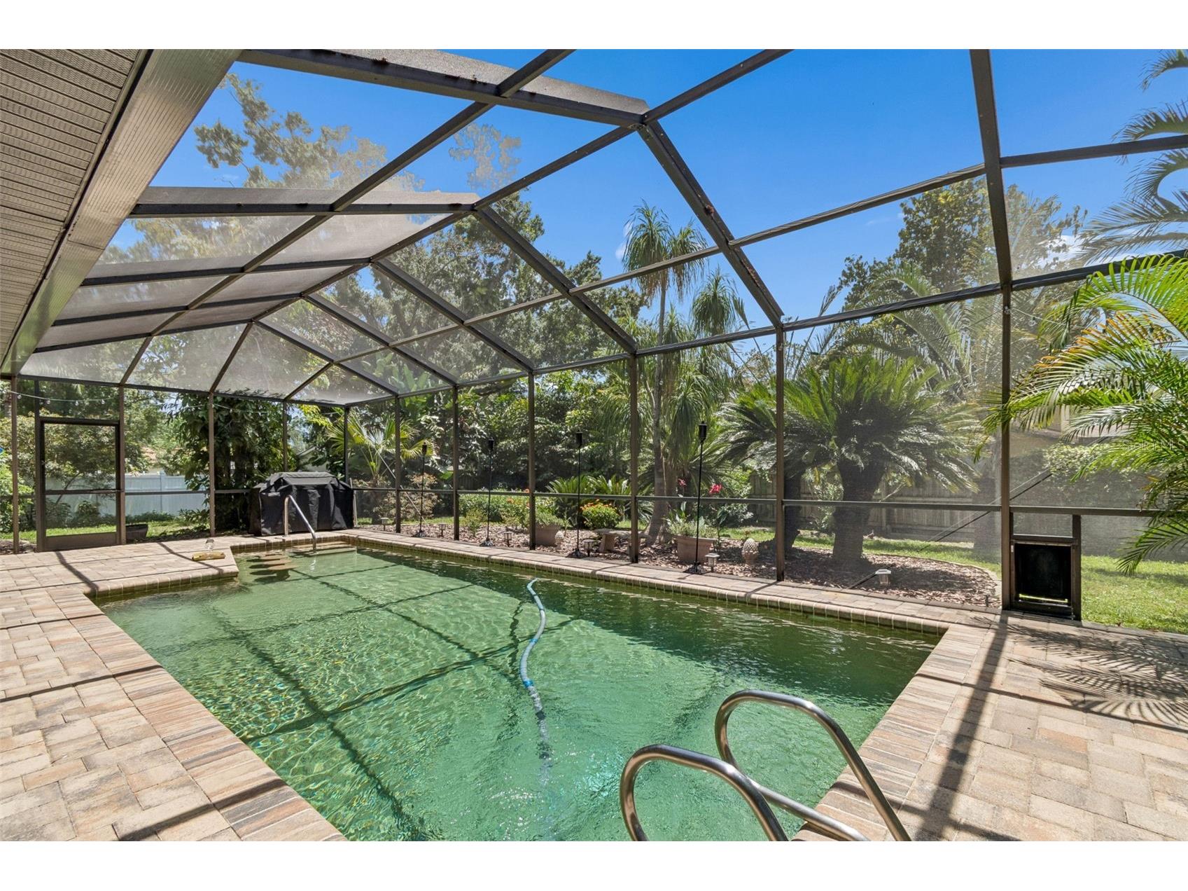 3034 Enisglen Drive Palm Harbor FL 34683 TB8513383 image46