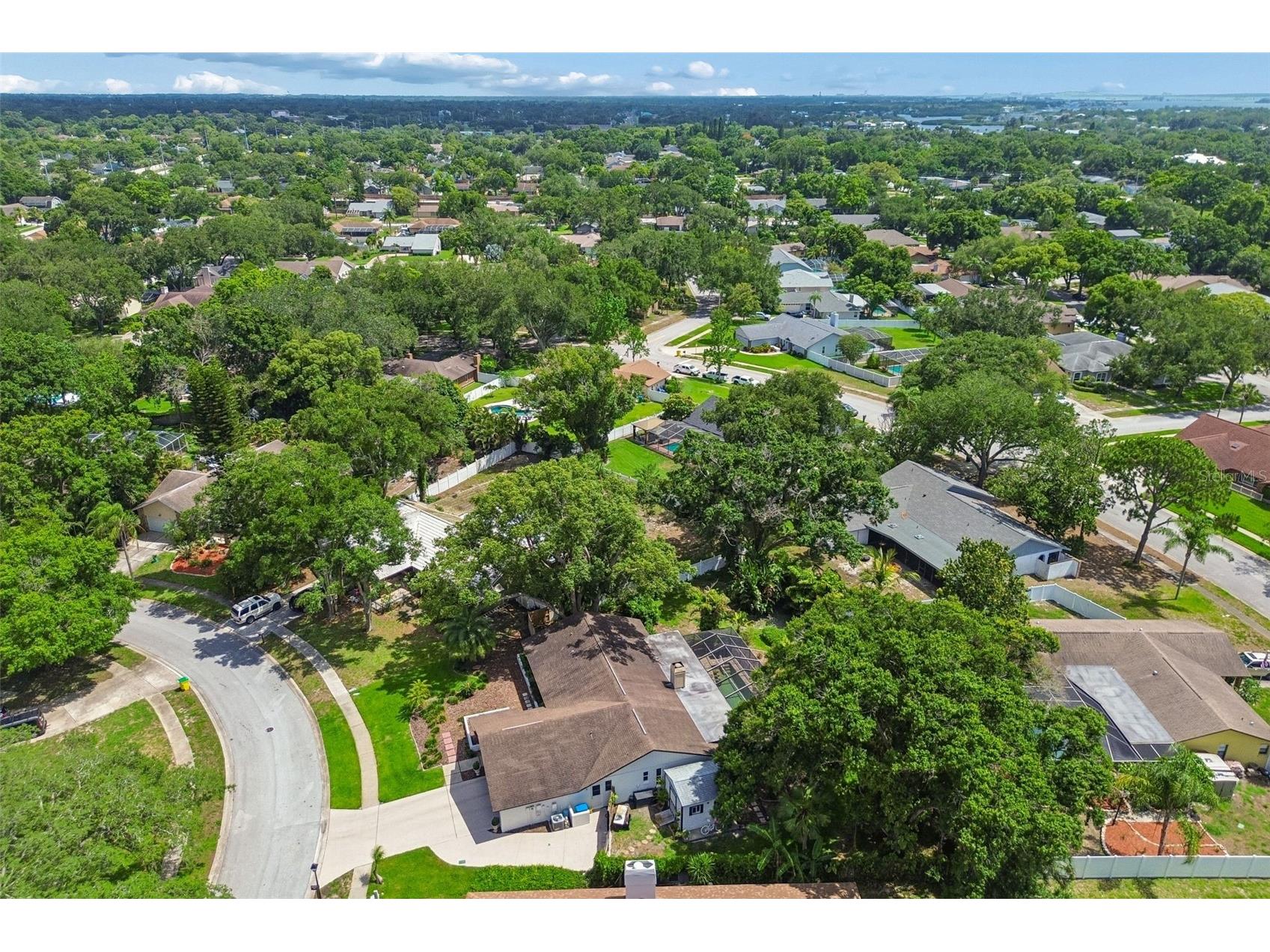 3034 Enisglen Drive Palm Harbor FL 34683 TB8513383 image65