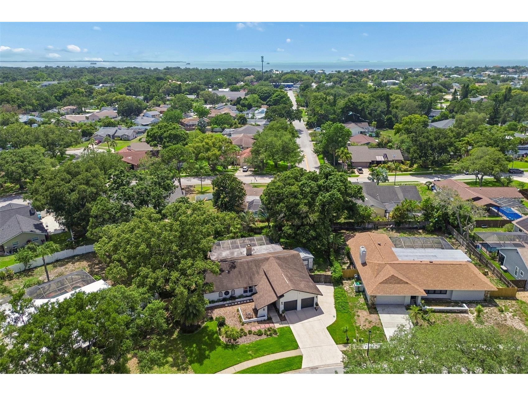 3034 Enisglen Drive Palm Harbor FL 34683 TB8513383 image81