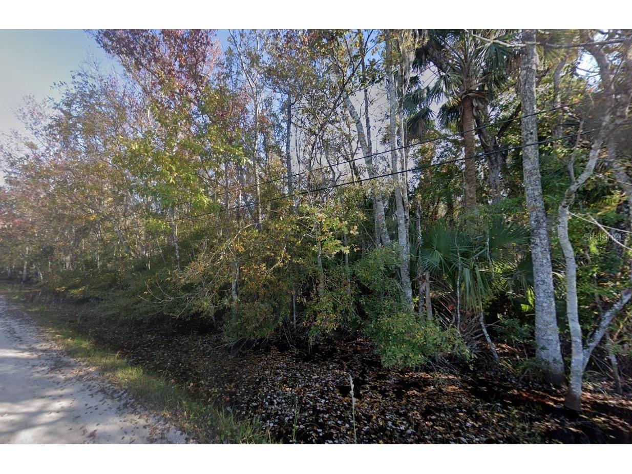 3034 Ragis Road Edgewater FL 32132 A4676708 image2