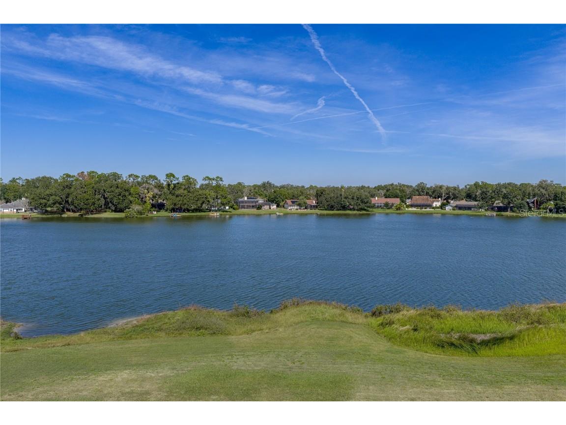 3034 Sutton Woods Drive Plant City FL 33566 TB8448765 image81