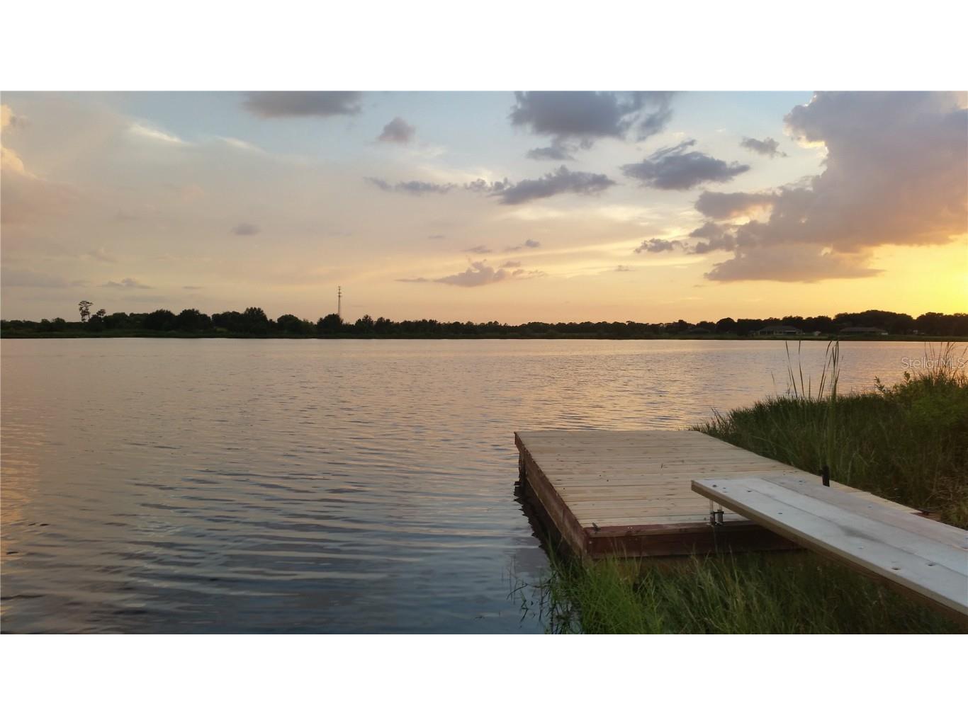 30340 Baylor Lane Wesley Chapel FL 33545 - LAKE HOLDEN T3551058 image1