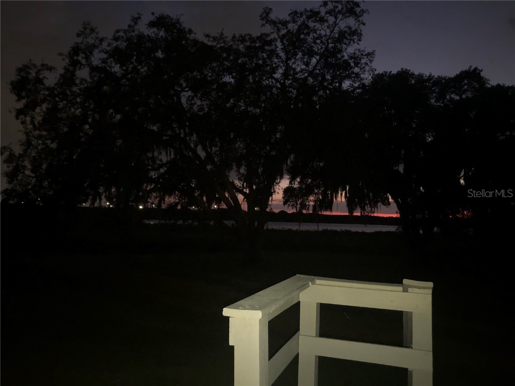 30340 Baylor Lane Wesley Chapel FL 33545 - LAKE HOLDEN T3551058 image14