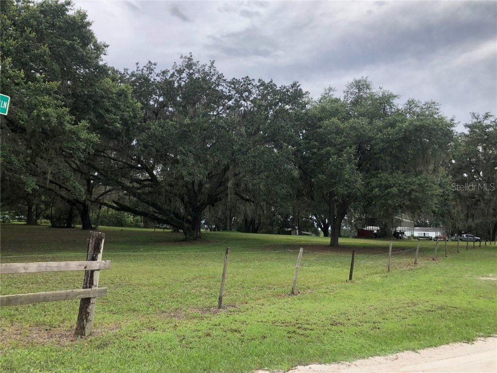 30340 Baylor Lane Wesley Chapel FL 33545 - LAKE HOLDEN T3551058 image15