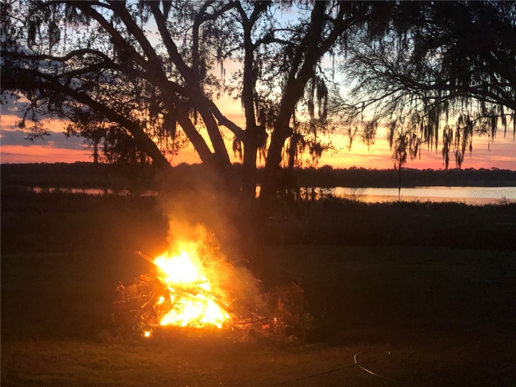 30340 Baylor Lane Wesley Chapel FL 33545 - LAKE HOLDEN T3551058 image16