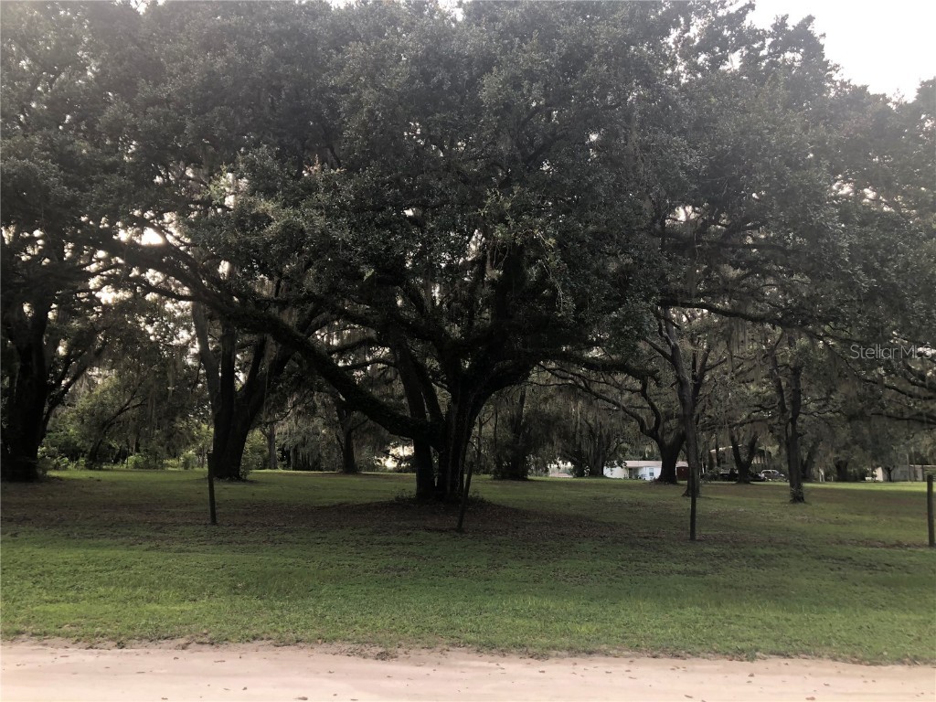 30340 Baylor Lane Wesley Chapel FL 33545 - LAKE HOLDEN T3551058 image19