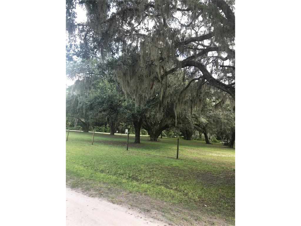 30340 Baylor Lane Wesley Chapel FL 33545 - LAKE HOLDEN T3551058 image20