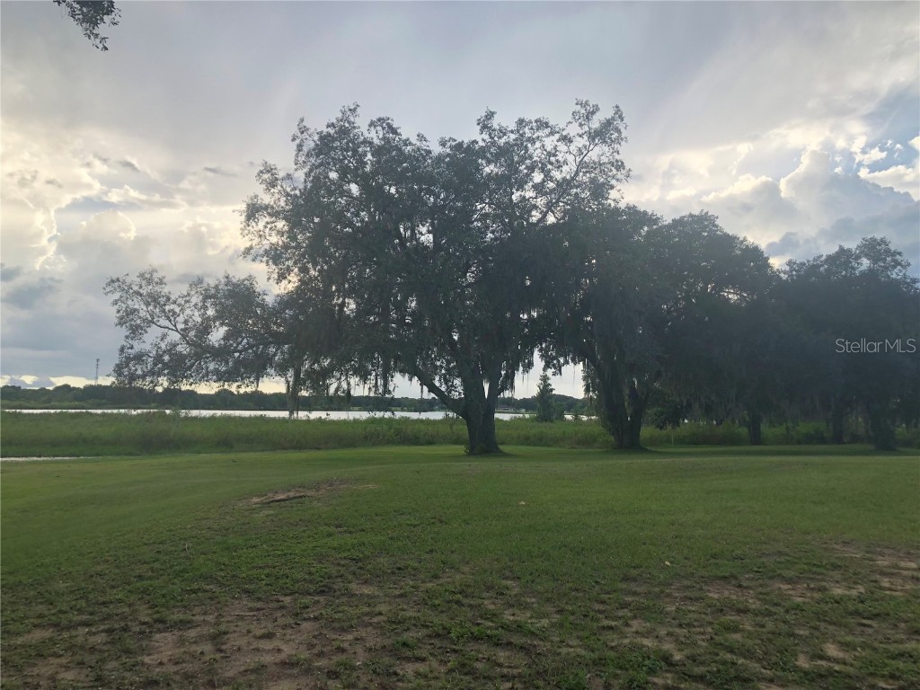 30340 Baylor Lane Wesley Chapel FL 33545 - LAKE HOLDEN T3551058 image21