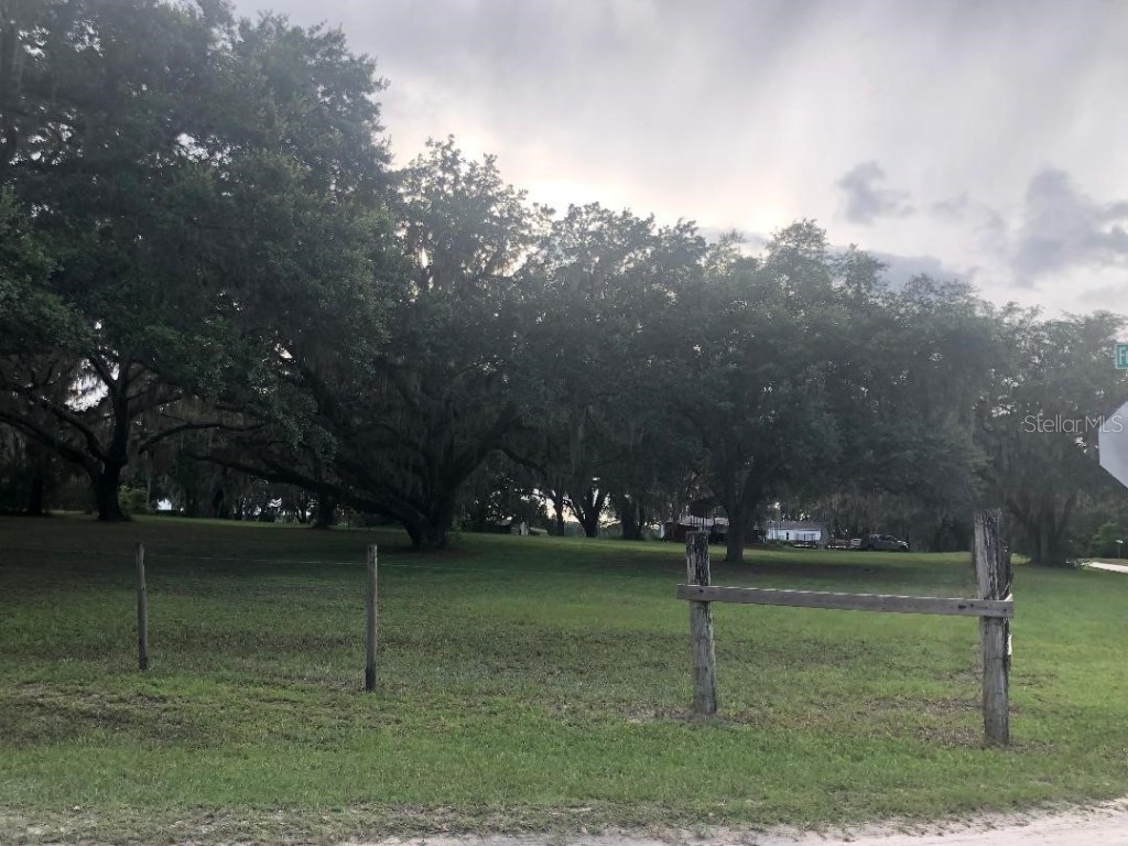 30340 Baylor Lane Wesley Chapel FL 33545 - LAKE HOLDEN T3551058 image22